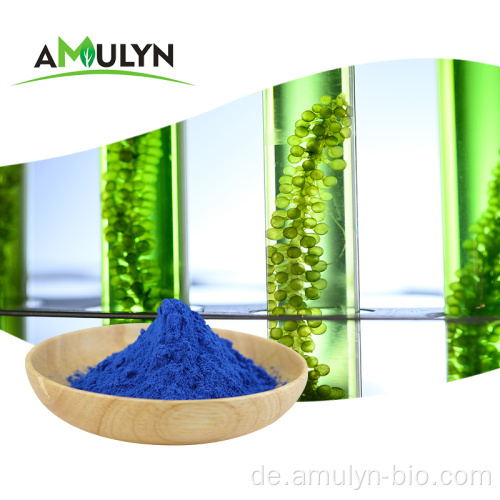 Natürliche Lebensmittelfarbe Blaues Spirulina-Phycocyanin-Pulver